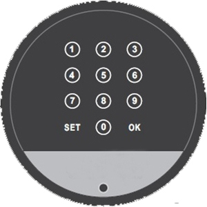 Black Cabinet Digital Password Lock