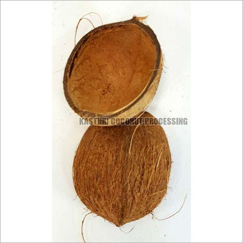 Solid Coconut Shell Halves