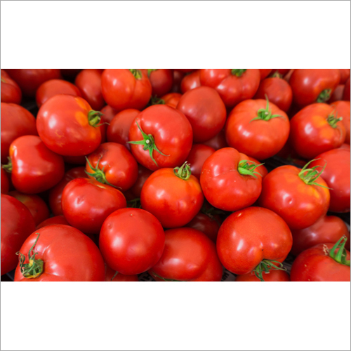 Fresh Tomatoes - Nutrient-Dense, Freshly Harvested, Organic | Ideal for Curries, Soups, Sauces, and Versatile Dishes in Protected Packaging
