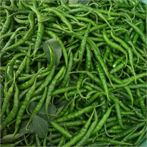 Green Chilli - Fresh Natural | Rich in Nutritional Value Ideal for Sauces Soups Curries and Diverse Culinary Uses