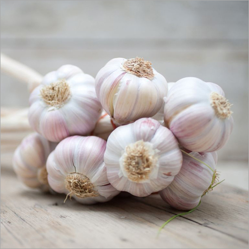 Fresh Garlic - Natural Shape, Fresh Style | Versatile Spice for Culinary Delights and Ayurvedic Uses, Potent Aroma and Sharp Flavor