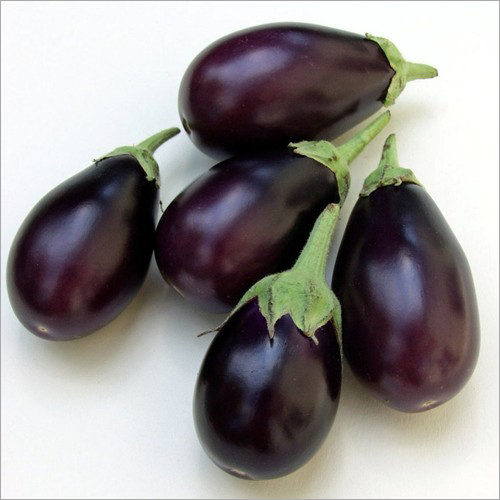Fresh Brinjal - Nutrient-Rich Vegetables, Natural Shape, Organic Freshness for Soups and Curries