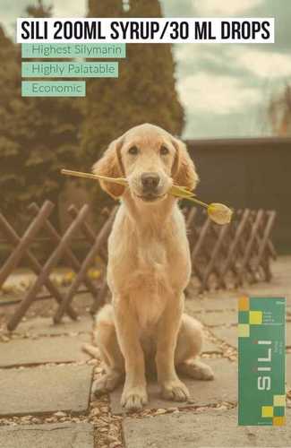Dog and Cat Liver Tonic