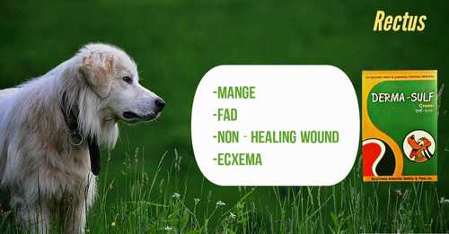 Dog and Cat Skin Disease Cream