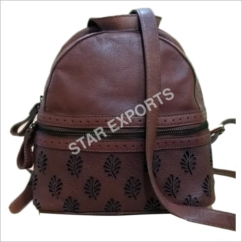 Brown Ladies Leather College Bag