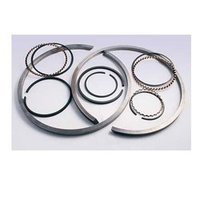 Compressor Piston Ring - Customized Design, High Strength Material, Pressure Resistant, Lubricated Use, Dimensions: Standard, Compatible With Screw & Reciprocating Compressors