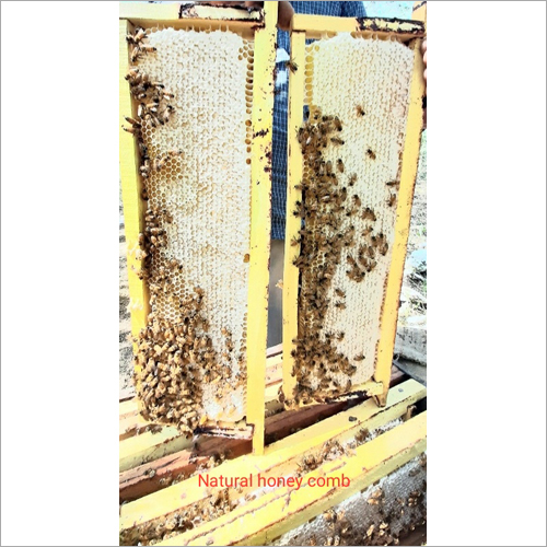Multi Flora Raw Natural Honeycomb Grade: A