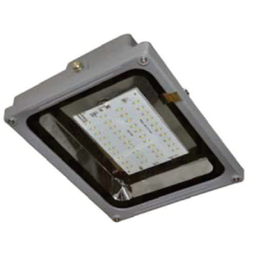 Electra 20 LED Flood Light