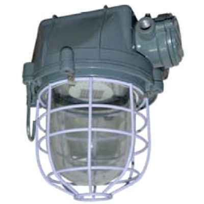 Led Flame Proof Light