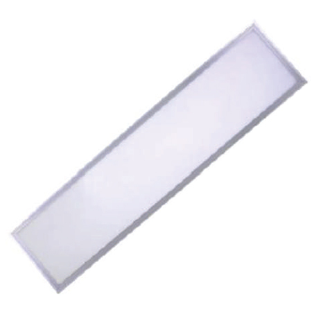 2x1 LED Ceiling Light
