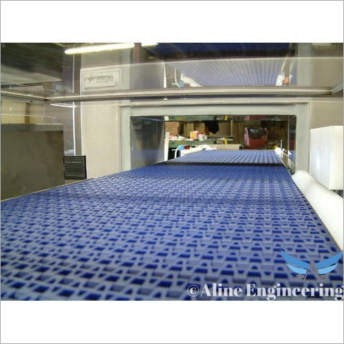 Plastic Belt Conveyor By ALINE CONVEYORS PVT. LTD.
