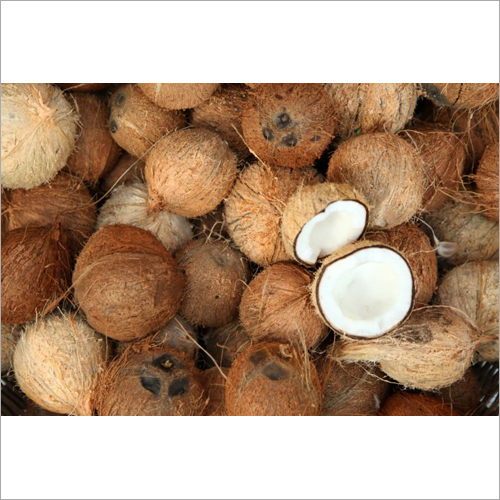Dry Coconut