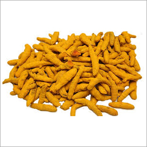 Raw Turmeric Finger
