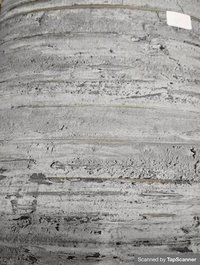 Deadly Wood Texture Back Skin Mobile Material
