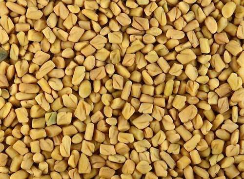 Fenugreek Seeds