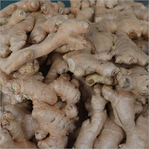 Dry Ginger