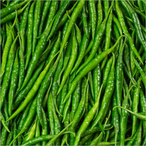 Green Chilli Moisture (%): 98-100%