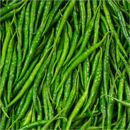 Green Chilli Moisture (%): 98-100%