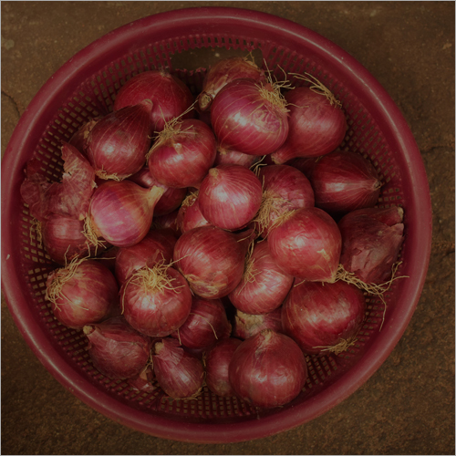 Fresh Red Onion