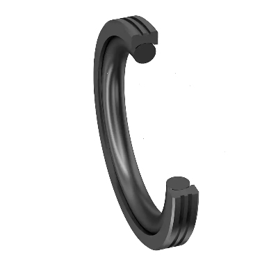 R 10 Double Acting Rotary Seal