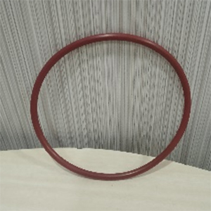 R 13 (VITON) O Ring