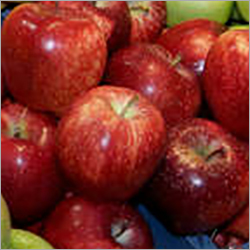 Fresh Apple