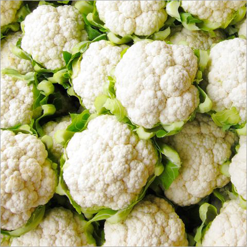 Fresh Cauli Flower - Organic Natural Freshness | Rich Source of Vitamin B5 and Dietary Fiber, Ideal for Diverse Culinary Uses