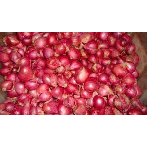 Red Onion - Natural Shape, Red Color | Organic Aroma Filled Onion, Ideal for Salads, Cooking, and Pickling, Quality Packaging for Freshness