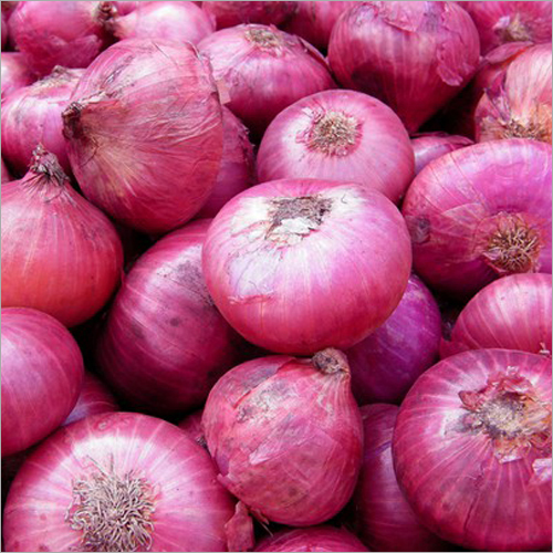 Fresh Onion - Organic, Natural Shape, Red Onion Style | Ideal for House and Hotel Use, Exported Worldwide