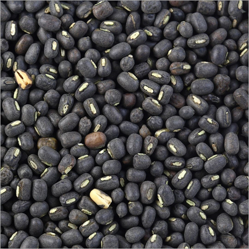 Black Gram