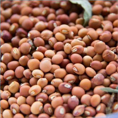 Red Eye Soybean