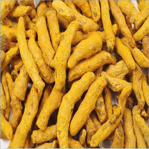 Fresh Turmeric Finger