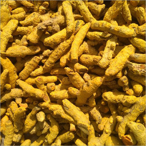 Fresh Turmeric Finger