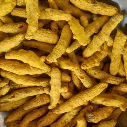 Fresh Turmeric Finger