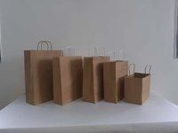 Paper Carry Bags