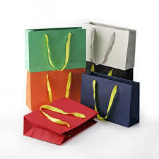 Stylish Paper Bag