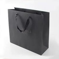Stylish Paper Bag