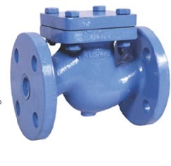 Cast Iron Check Valves (Nrv) - Pressure: Low Pressure