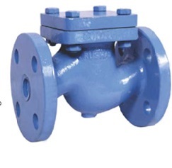 Cast Iron Check Valves (NRV)
