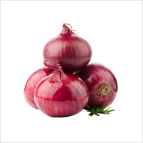Fresh Onion - Organic Natural Shape | Ideal for Cuisines Provides Texture and Flavor Easily Digestible Perfect for Raw Consumption