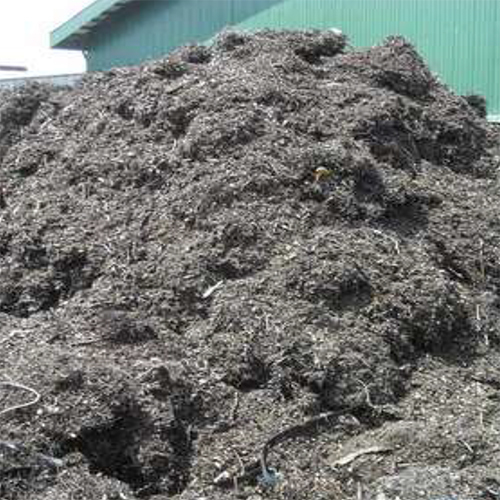 MS Turning Scrap ,MS Fish Cutting Scrap