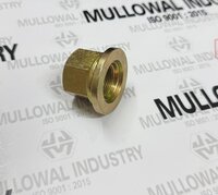 Assembly Wheel Nuts - Feature: Corrosion Resistance