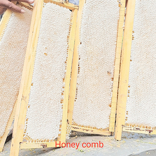 Multi Flora Raw Honeycomb for Natural Honey By SANGWAN BEE FARM