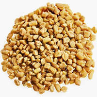 Fenugreek Seeds