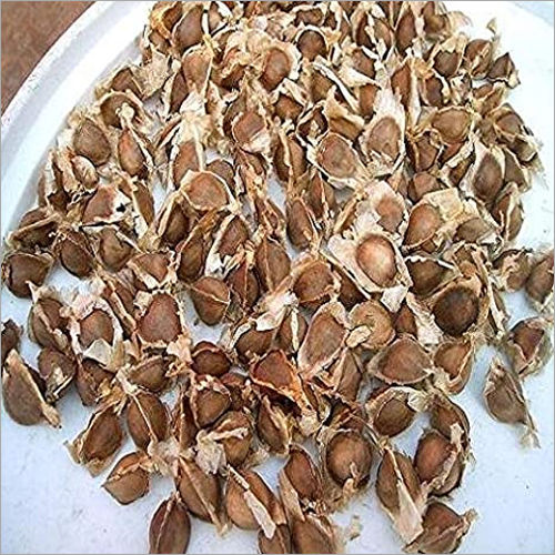 Organic Fresh Moringa Seeds