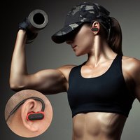 Wireless Earhook Bluetooth Headset AX-10