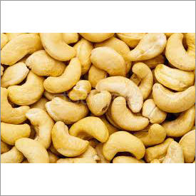 Fresh Cashew Nuts