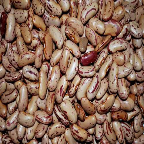 Rajma