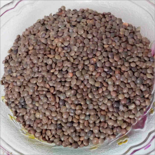 Masoor Brown Dal