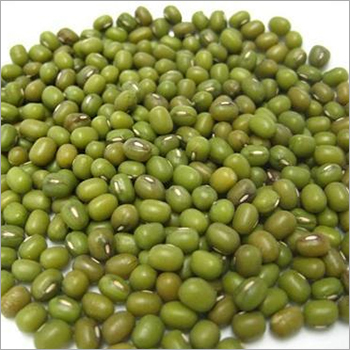Green Mung Beans By GRUPA GMBH